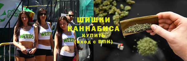 мдпв Вязьма