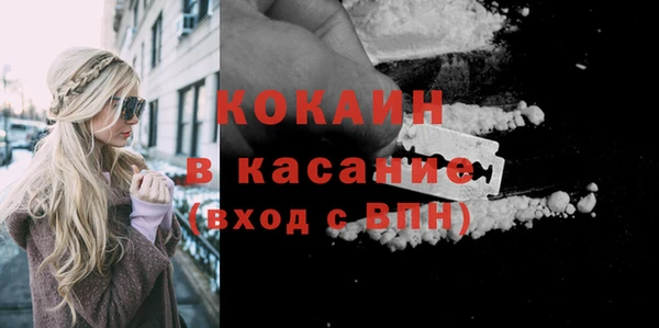 гашик Вяземский