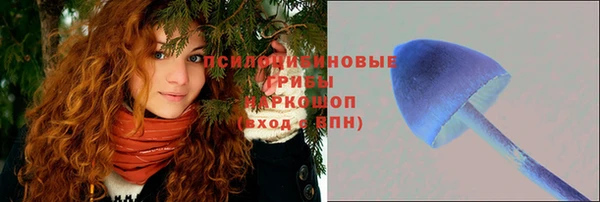 гашик Вяземский