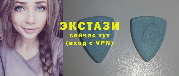 гашик Вяземский