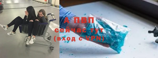 мдпв Вязьма
