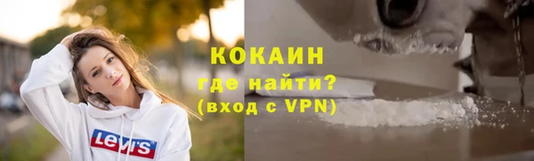 индика Володарск