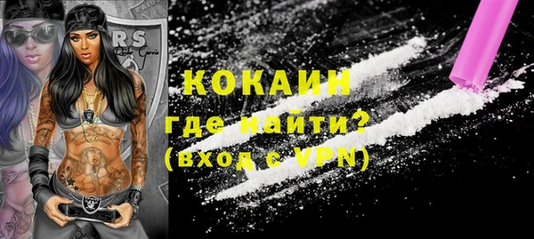 гашик Вяземский