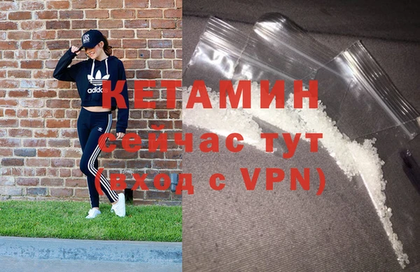 гашик Вяземский