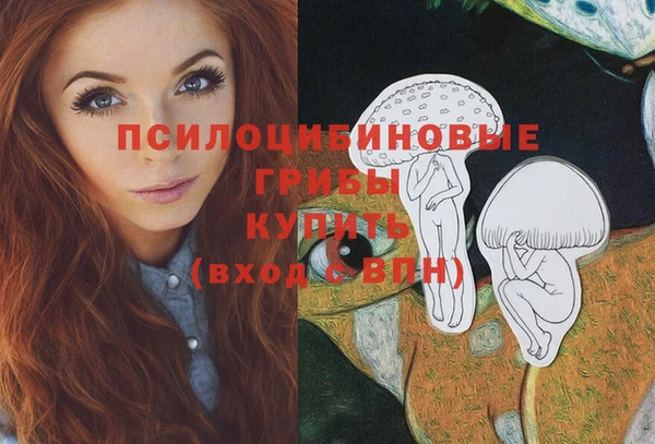 гашик Вяземский